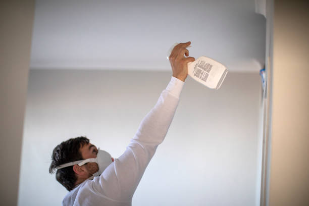 Best Post-Flood Mold Remediation in Colfax, IL